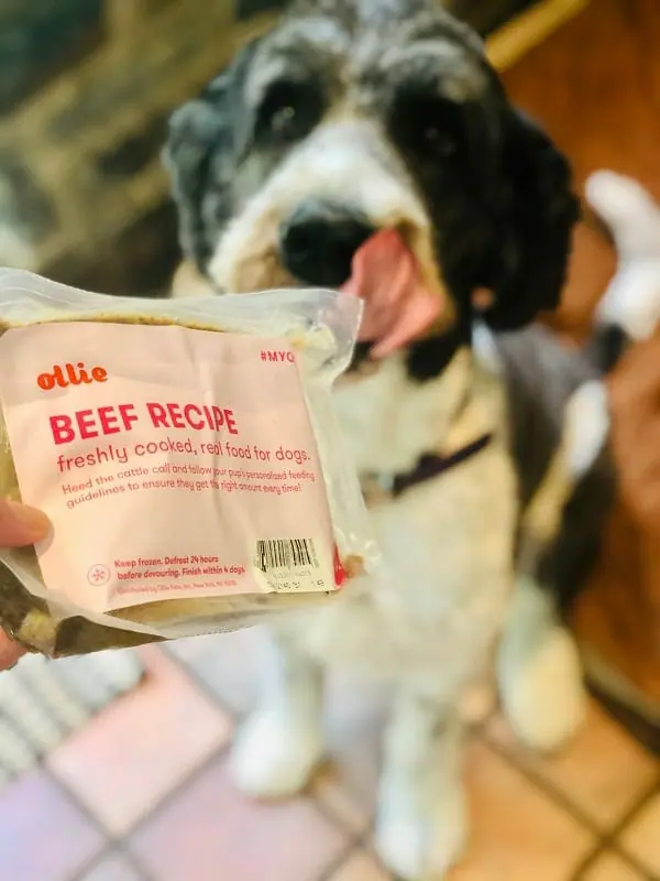 Ollie Fresh and Baked Dog Food Reviews MealFinds