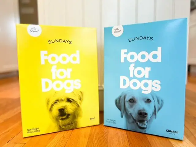 Sundays For Dogs Reviews Is it Worth It MealFinds