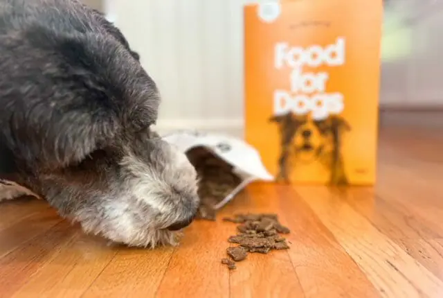 Sundays For Dogs Reviews Is it Worth It MealFinds