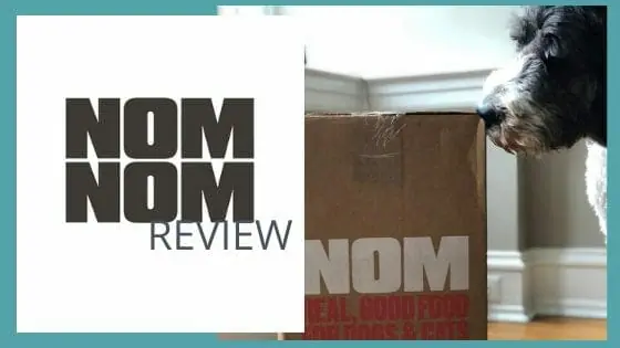 Nom Nom Dog Food Review 2023